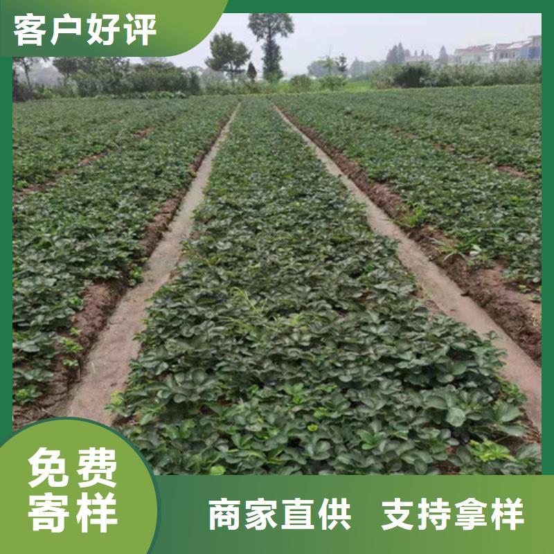 公司事件点评报告：前瞻布局高端CCL领域