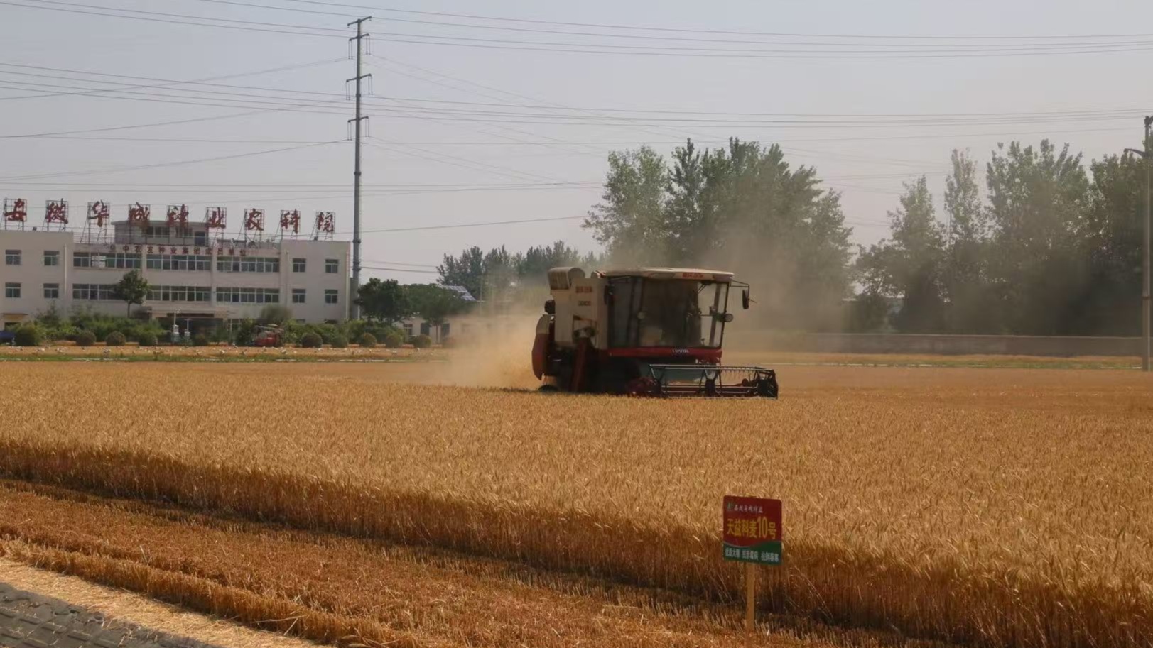 跨越从一粒良种到万顷丰仓 解锁大国粮仓“